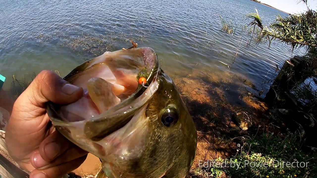 BOSKOP BASS, A FLY FISHING SPECIAL.