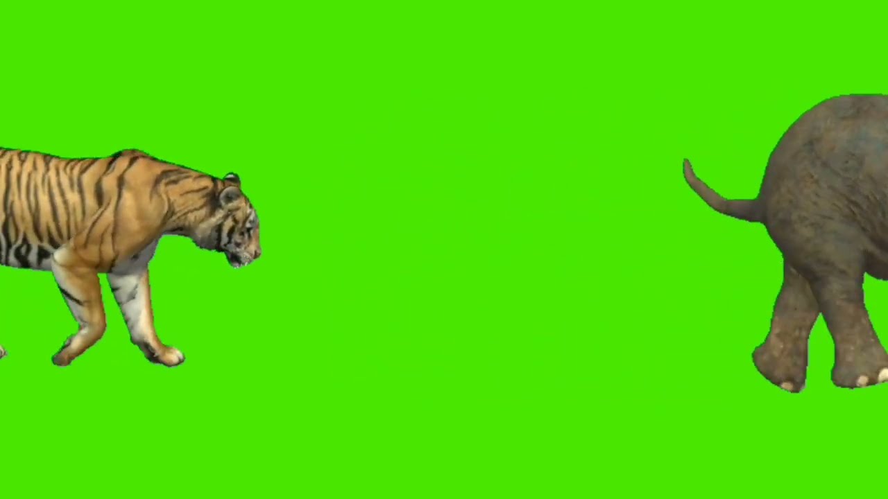 Cartoon animal green screen | green screen animation effect | cartoon animal green screen video