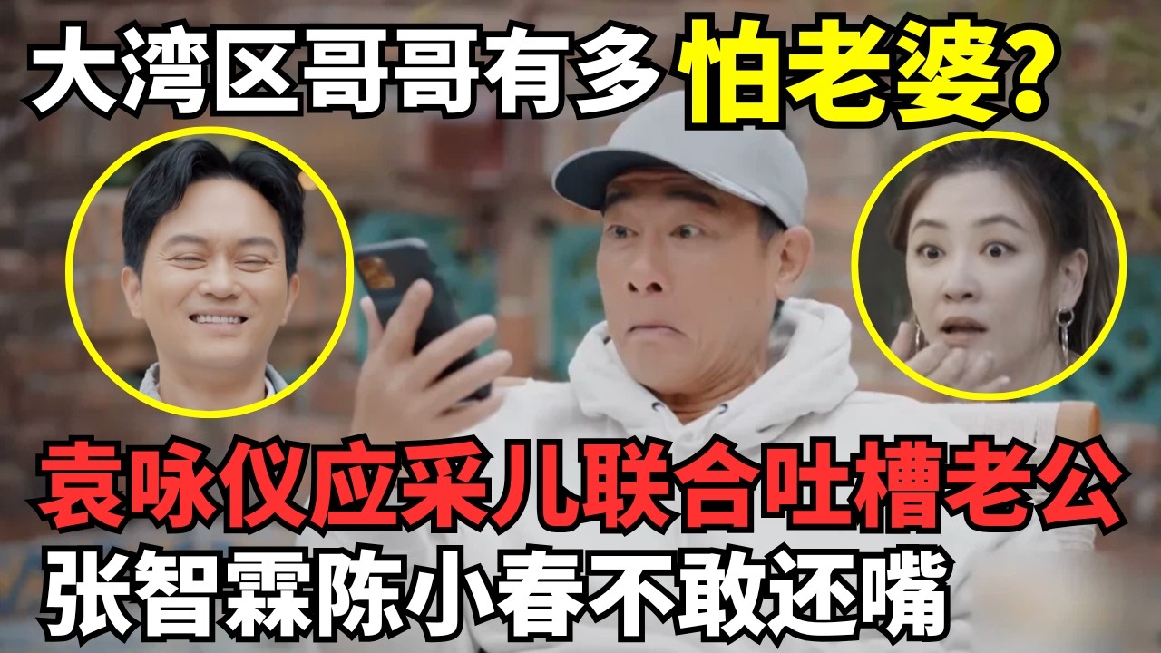 大湾区哥哥有多怕老婆? 袁咏仪应采儿联合吐槽老公, 张智霖陈小春吓得不敢还嘴｜大湾仔爆笑日常 #应采儿 #袁咏仪 #陈小春 #张智霖