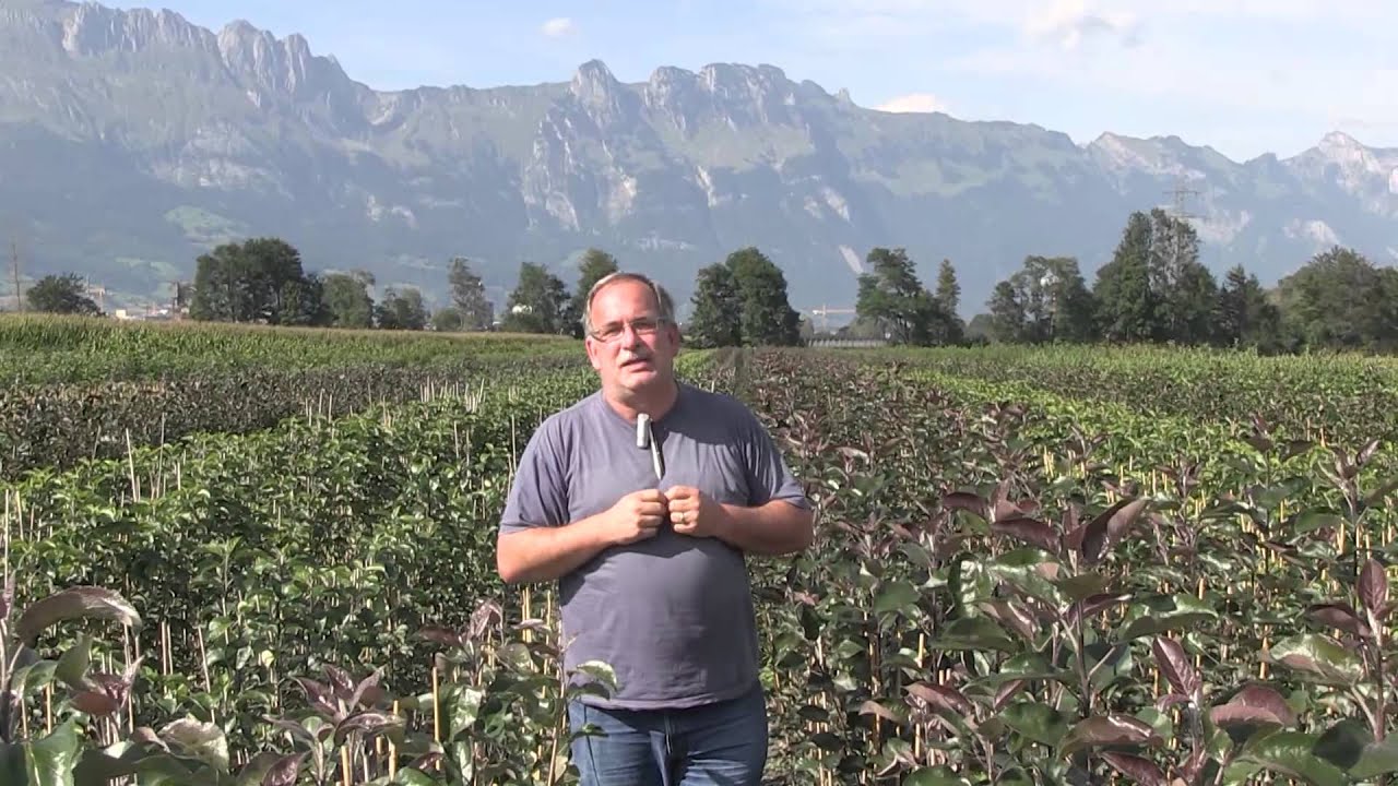 Willkommen beim neuen Gartenvideo