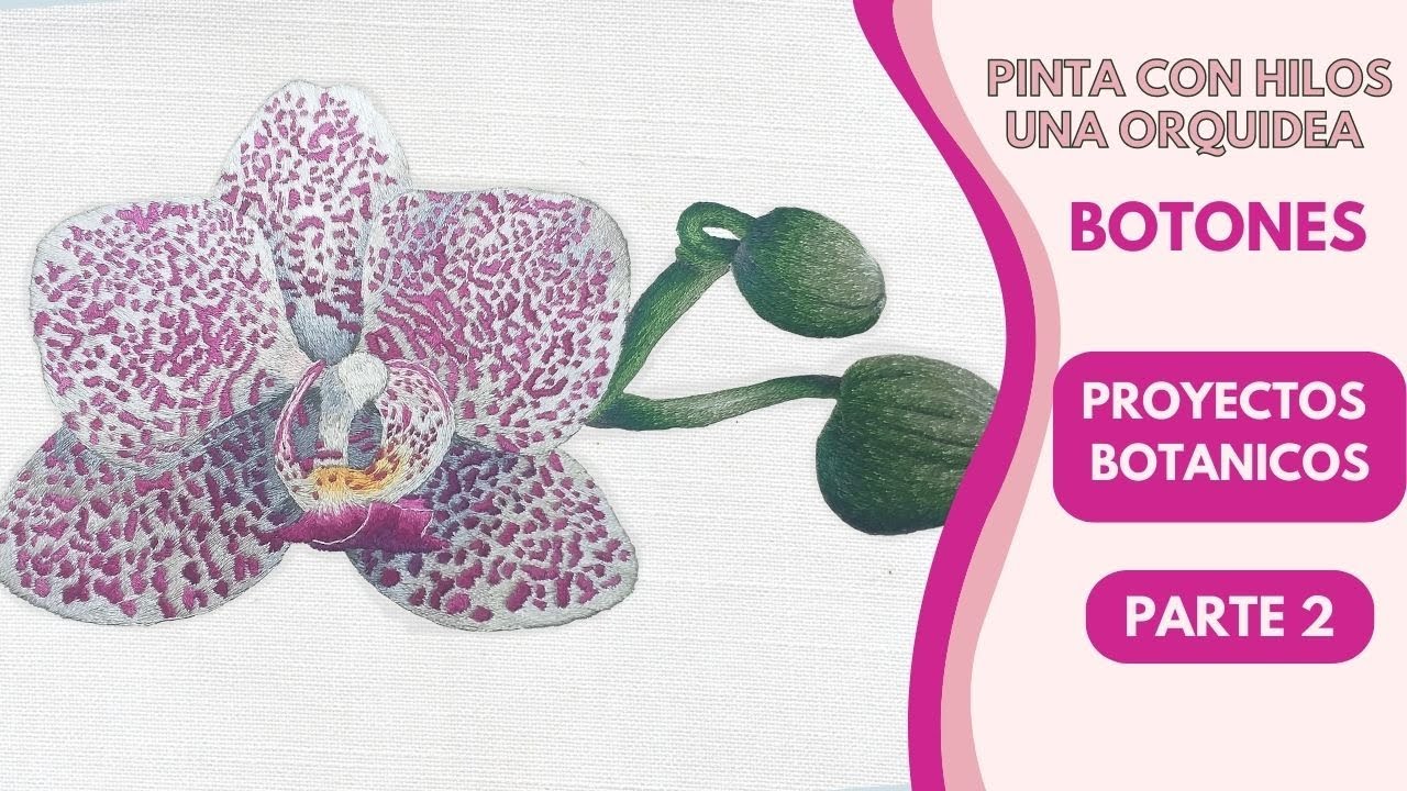 Pintar con hilos, Orquidea Rosa y Blanco, segunda parte Botones.