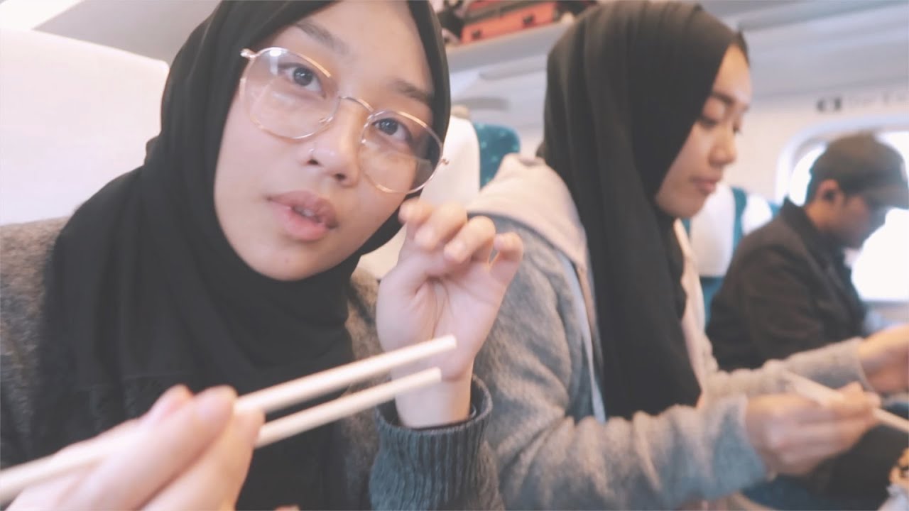 Ask for 'No Meat' in Japanese? | Bento Boxes on the Train Back to Tokyo (Muslim Japan Travel)