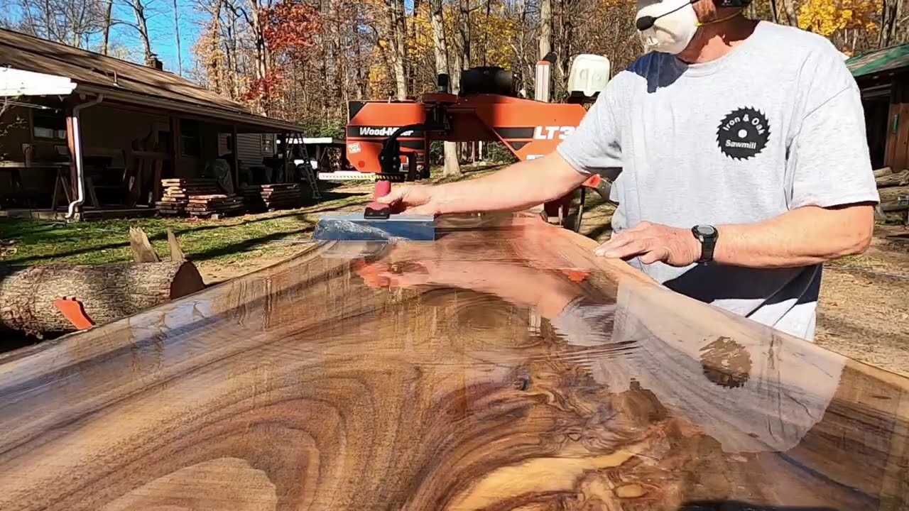 CURLY WALNUT BEAUTY !!! WOW !!!