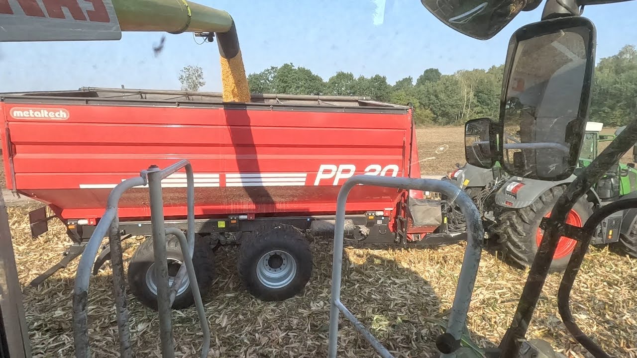 #279 Kukurydza Na Ziarno Wykoszona || Rekordowy Plon Gospodarstwa || Pionier 8834 & MAS 23M