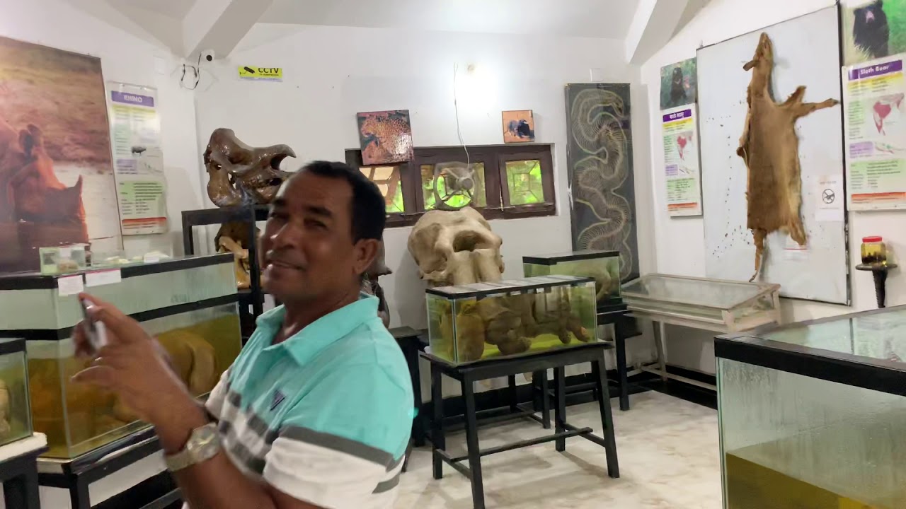 Chitwan National Park museum