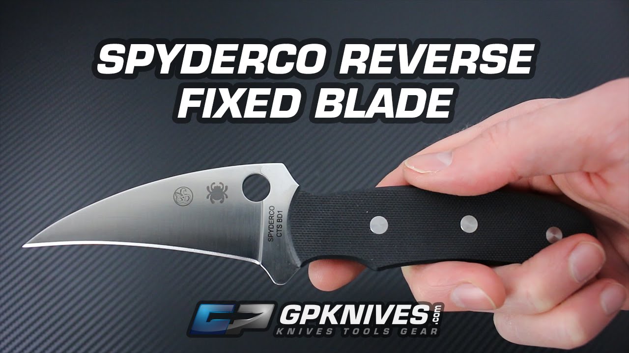 Spyderco Reverse Fixed Blade Overview
