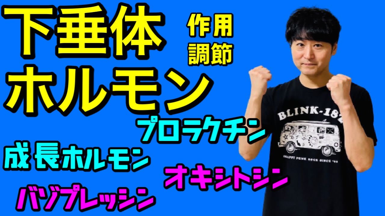 下垂体ホルモンが超絶よくわかる！！内分泌 作用【解剖生理学56】
