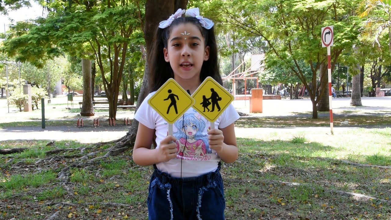 🚸📚 REGRESO A CLASES SEGURO: LOS CRUCES PEATONALES
