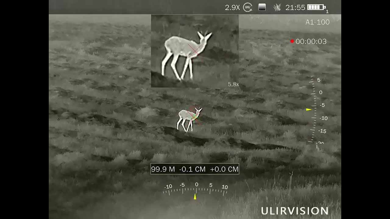 ULIRVISION POLAND EL650 KOZIOŁ I NIEDOLISEK
