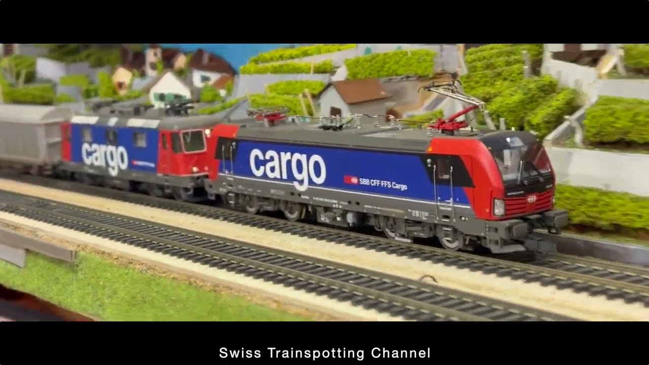 Trafic cargo Br 193, Re 421, Re 482 Roco