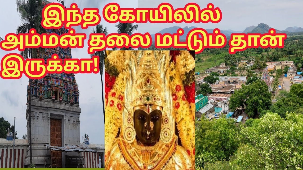 அம்மன் கோயில் படவேடு | padavedu renugambal temple history |A.K padavedu | Arani | vaka's family