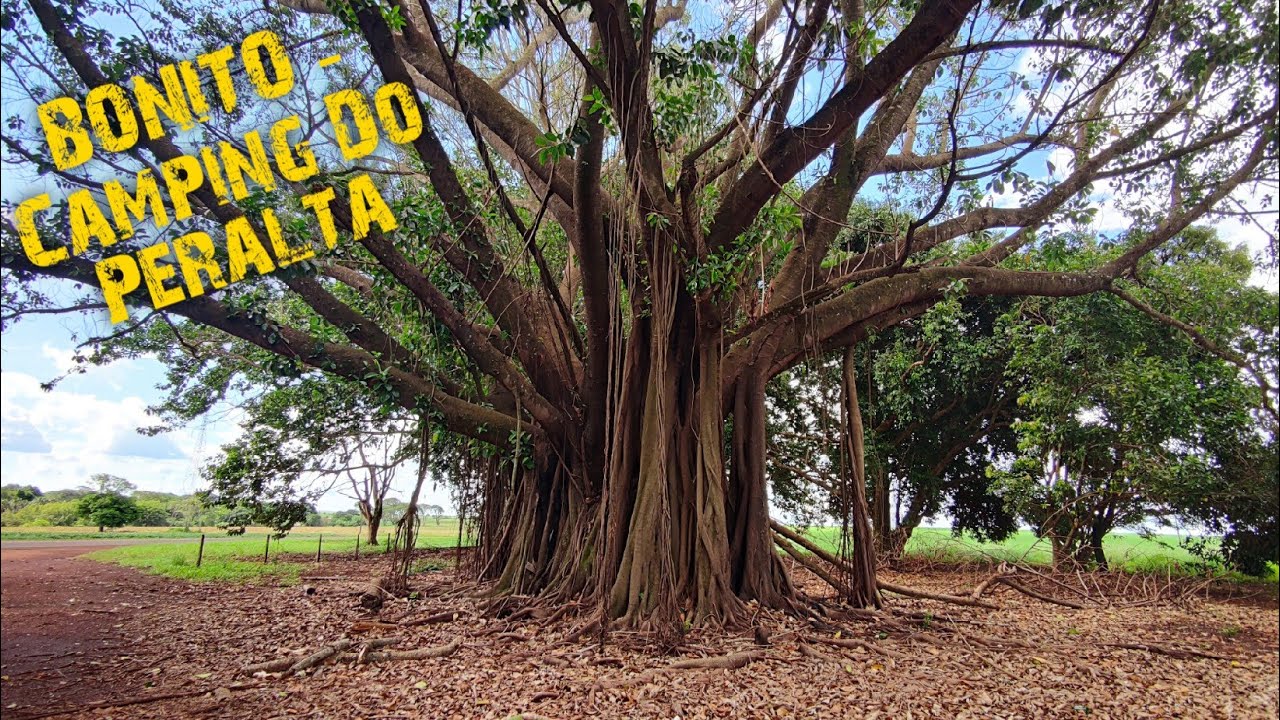 Tour pelo CAMPING DO PERALTA, Chegamos na cidade de Bonito MS - Dia 02