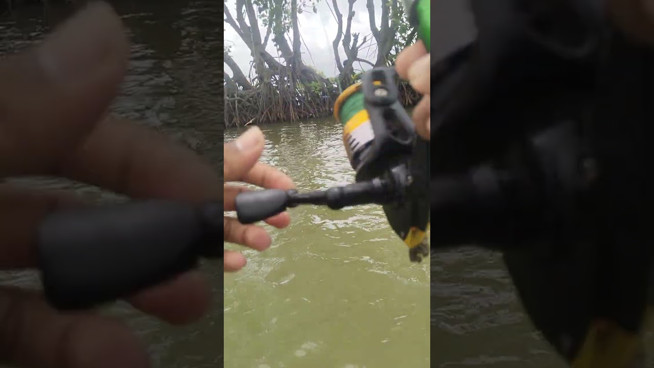 Mancing ikan rucah di deket pohon bakau2 streak bertubi2