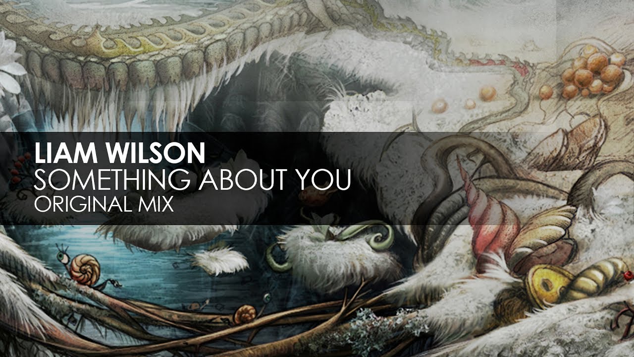 Liam Wilson - Something About You