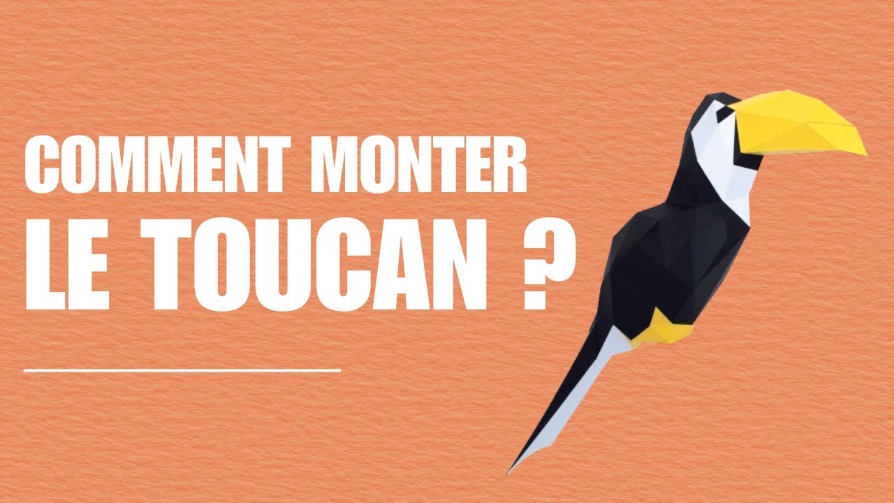 Montage du toucan