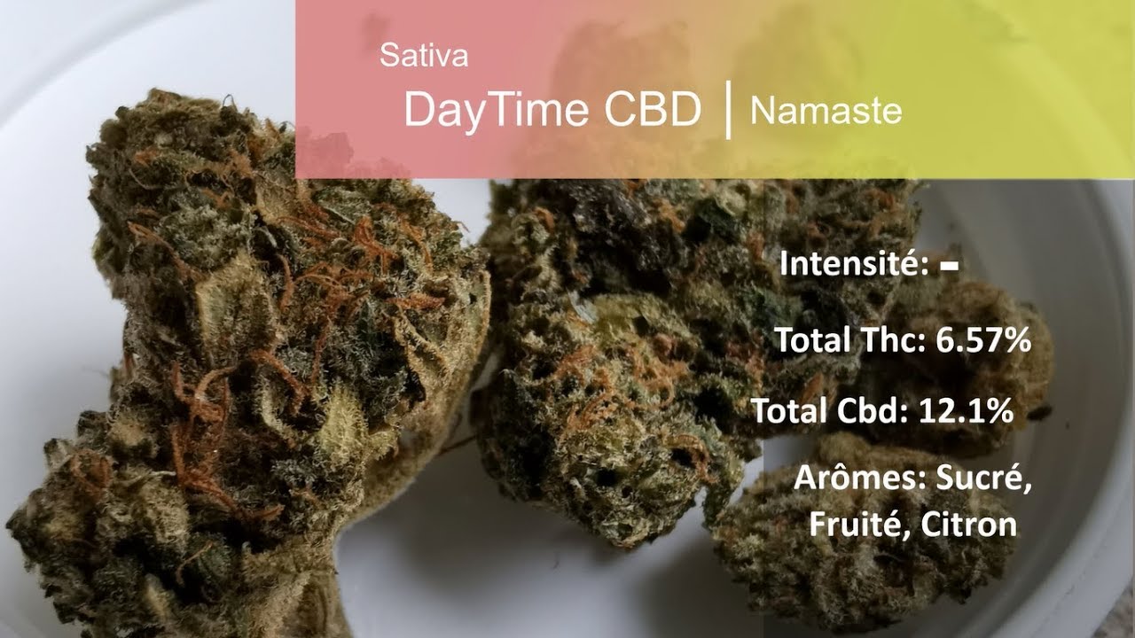 Cannabis r&eacute;cr&eacute;atif SQDC #43: DayTime CBD