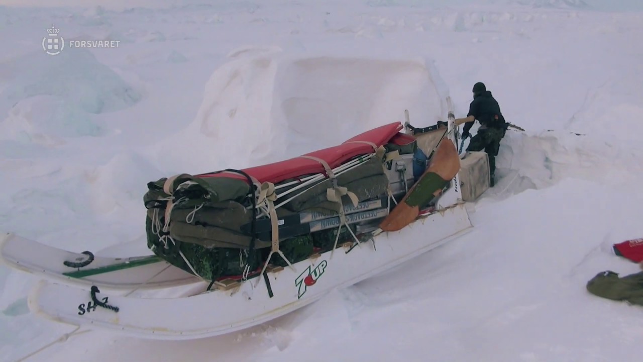 SLÆDEPATRULJEN SIRIUS (4/5): MAKKERSKAB I 40 GRADERS FROST