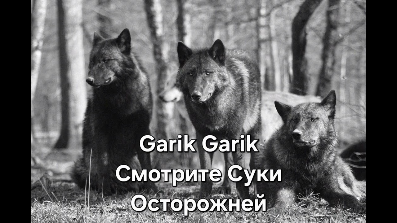 Garik Garik - Смотрите Суки Осторожней....