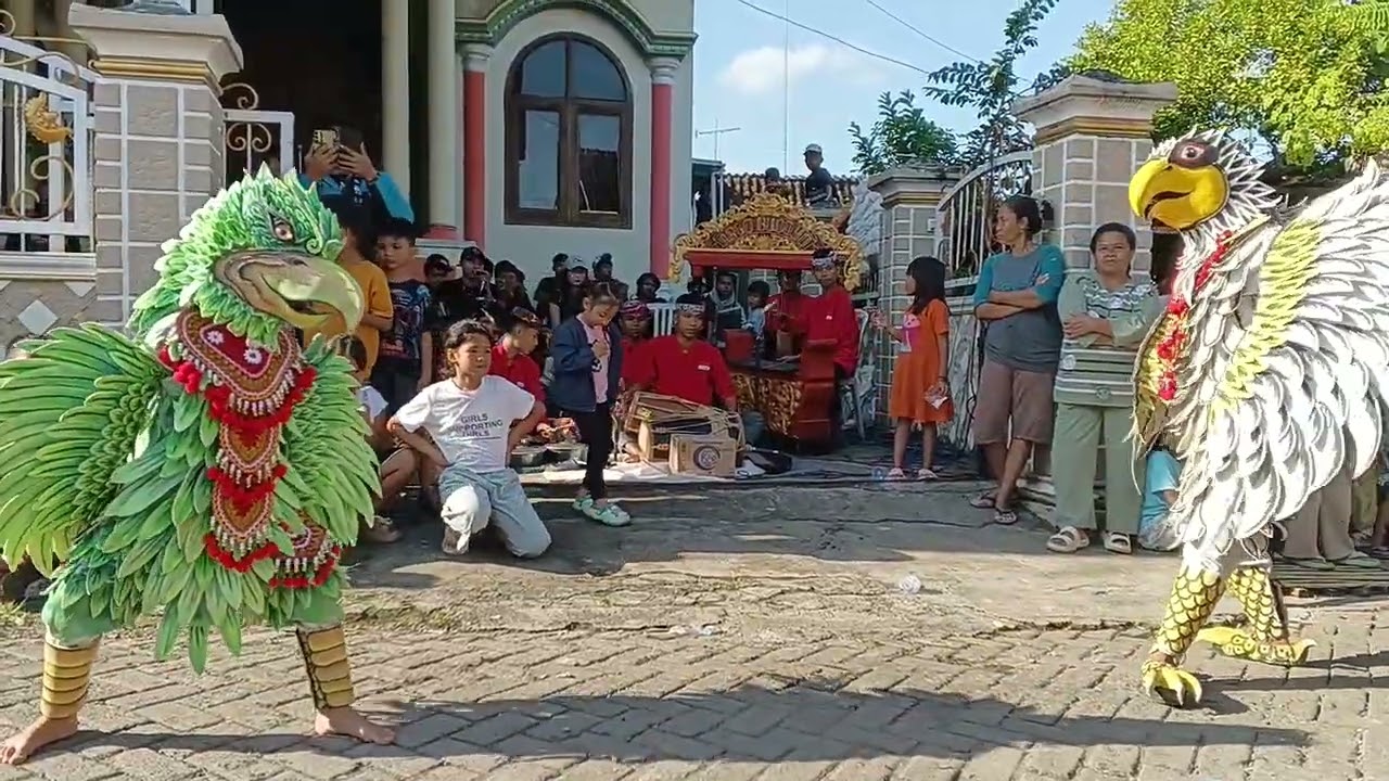 BURUNG 🐦 NURI DAN CUCAK IJO 🔥 ARGO BUDOYO SUKOREJO 🔥