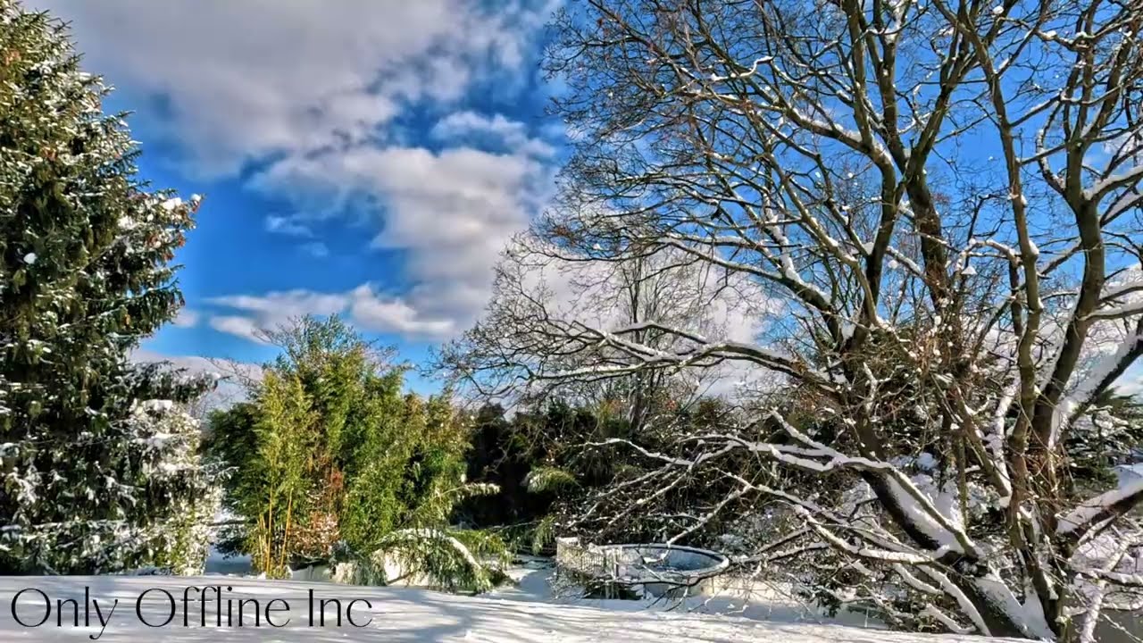 30 Minutes | SNOW DAY#live#snow#snowday 
