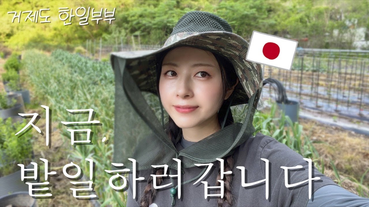 [농번기] 밭일에 진심인 일본인 아내  [거제도 한일부부 주말vlog]