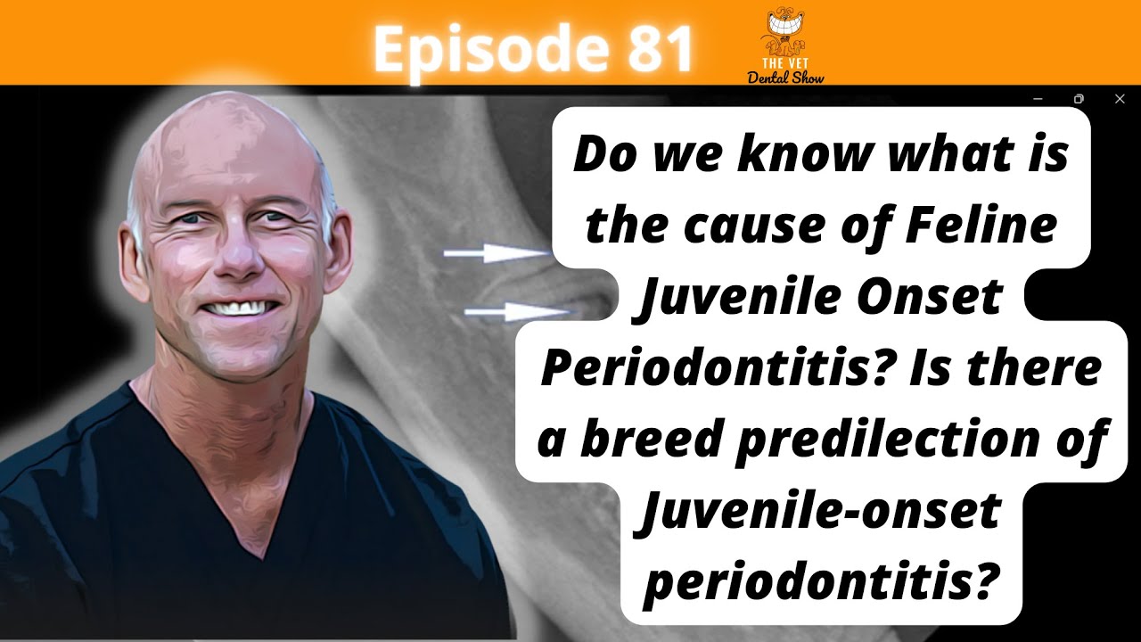 Ep 81 -  Do we know what is the cause of Feline Juvenile Onset Periodontitis?