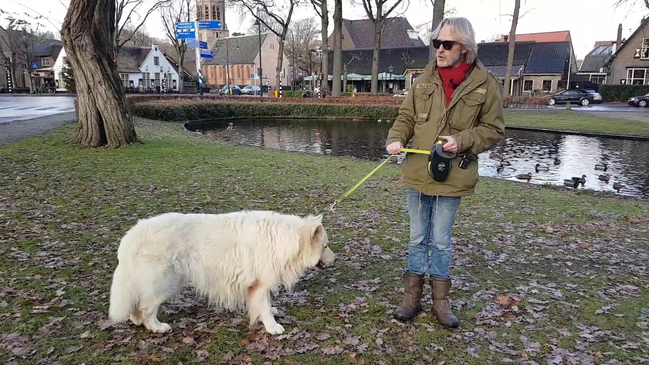 De Gooise Hondencoach: O, doe je dat zo?! - Communiceren met je hond aan de rollijn