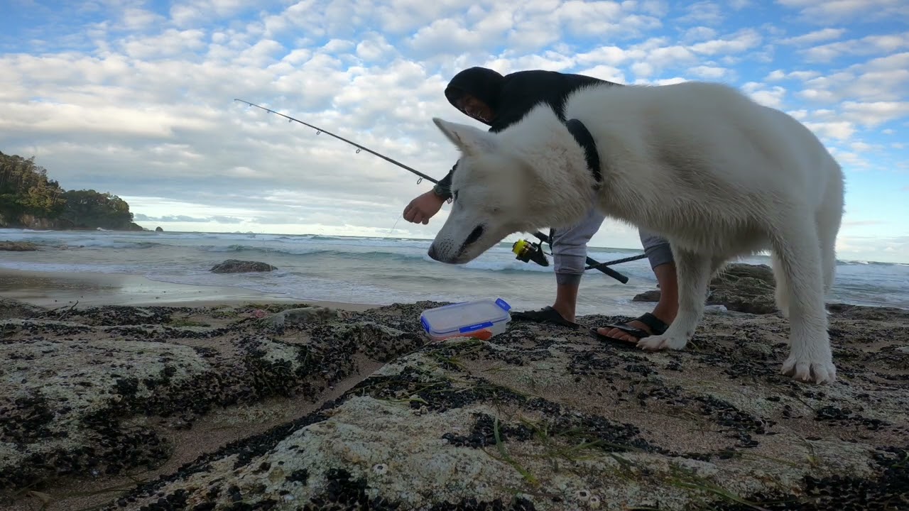 Tara Fishing | Onemana  Beach | Kinakain Kaya Tong huli kong isda