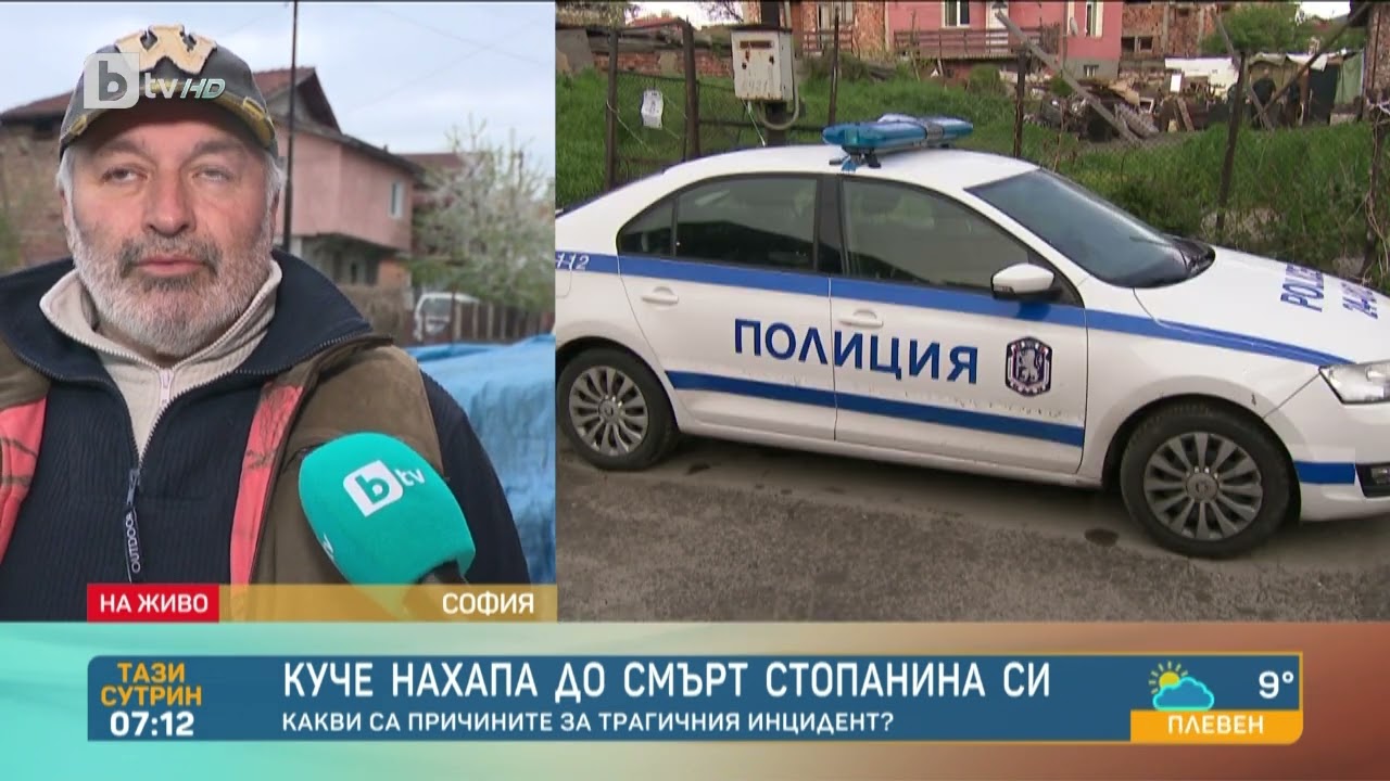 Зоопсихолог: Няма лоши или добри породи кучета, всичко е до възпитание | „Тази сутрин“ – БТВ
