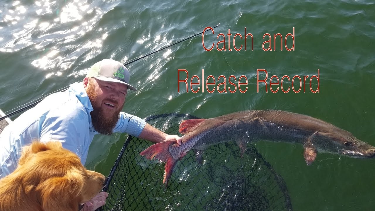 Minnesota State Record Muskie Story! (Catch and Release)