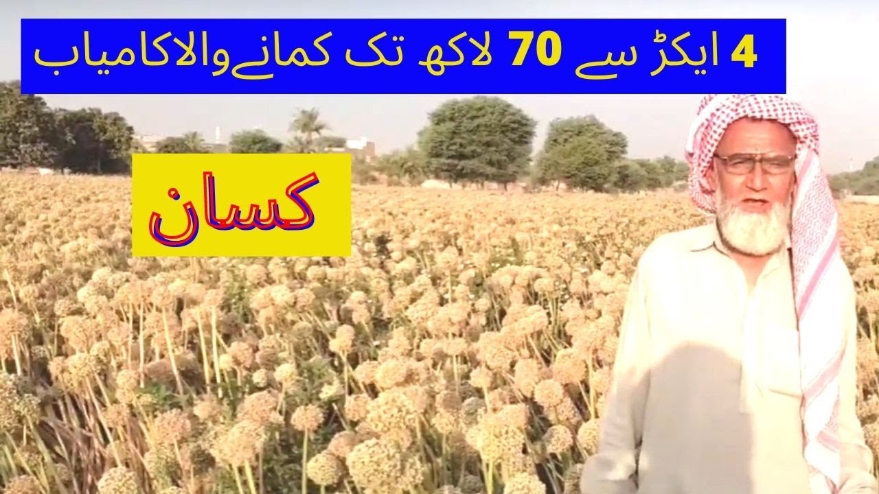 Salana 70 lakh Tk Income 4 Acre Zameen per onion seeds Ugane wala kamyab Kisan  | 