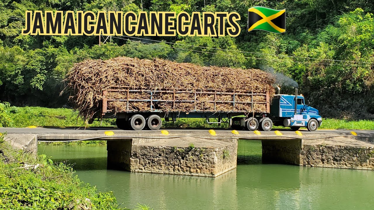 Jamaica 🇯🇲 cane cart truckers crossing flat bridge 🌉 #flatbridgejamaica #bigrigs