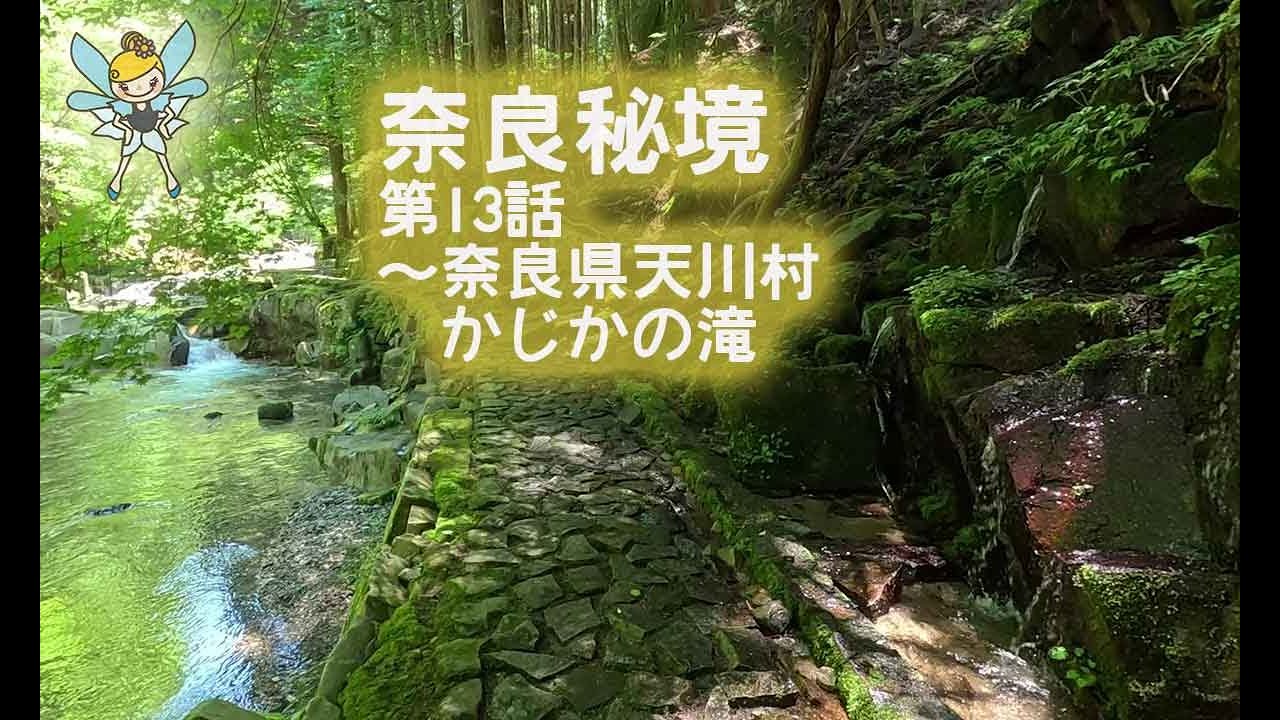 【奈良・洞川温泉】かじかの滝 静かな渓谷で出会う天然アマゴ