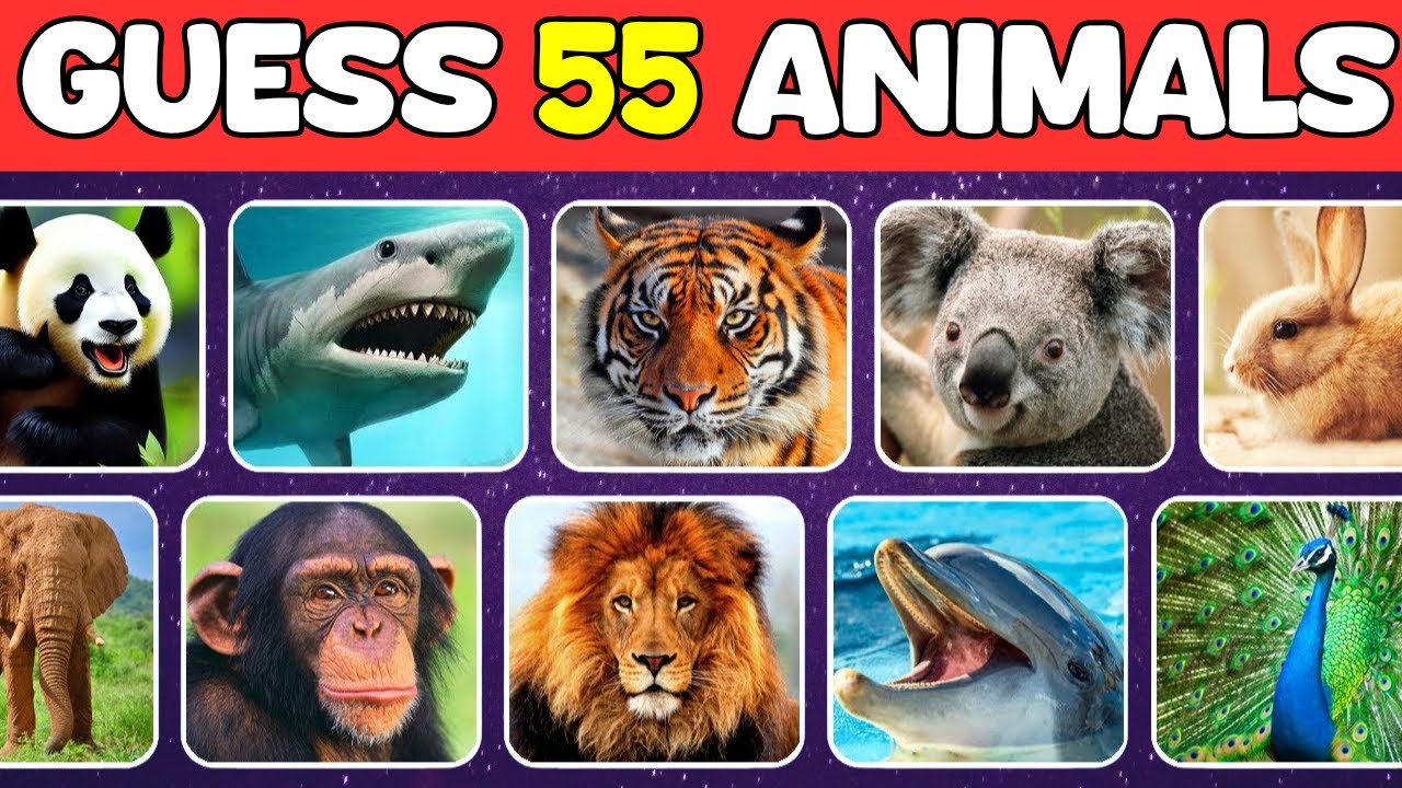 Guess 55 Animals in 3 Seconds | Easy, Medium, Hard, Impossible