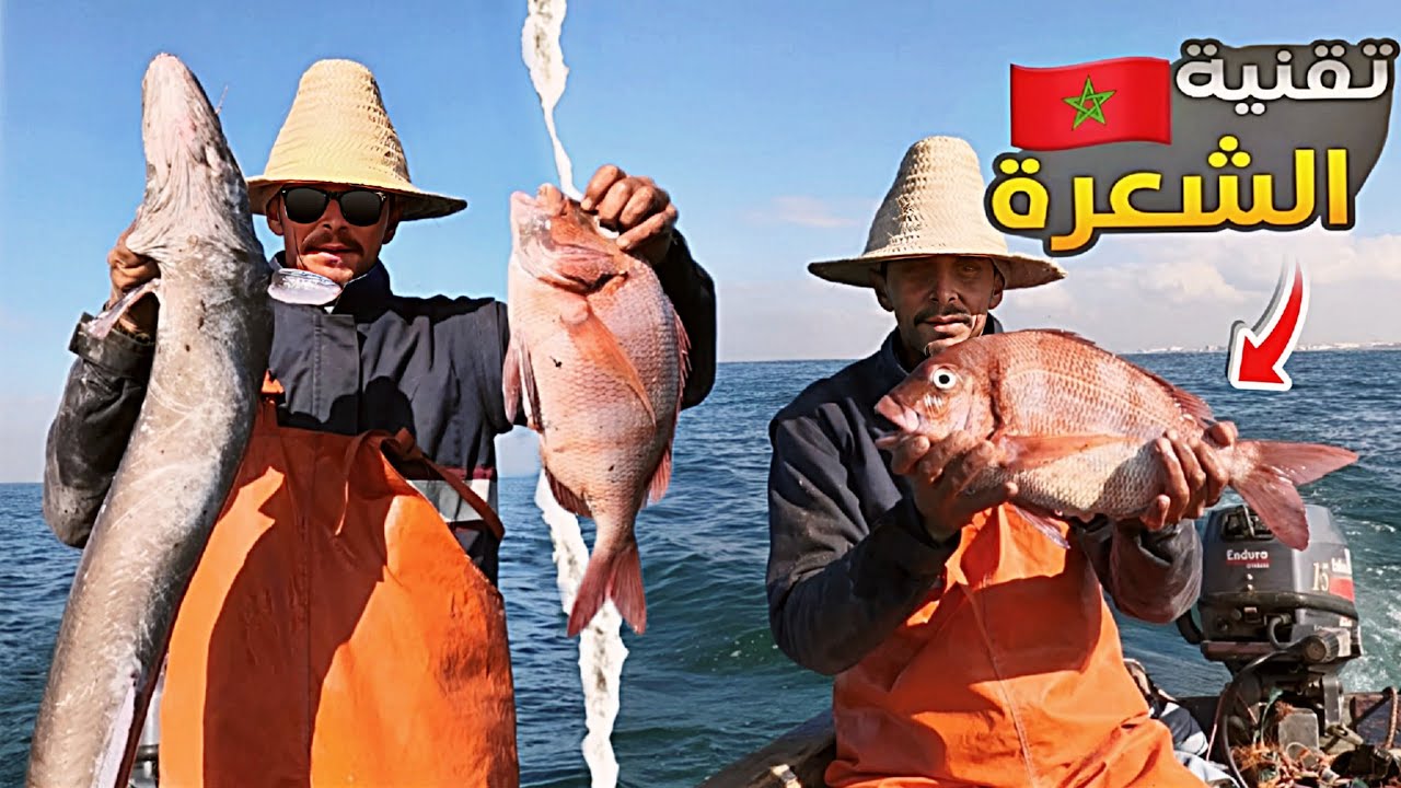 كفاح البحار:24 ساعة في أعماق البحر🌊تحدي صيد أسماك بي تقنية الشعرة وطبخ الحبار الملكي و حصيلة ممتازة 
