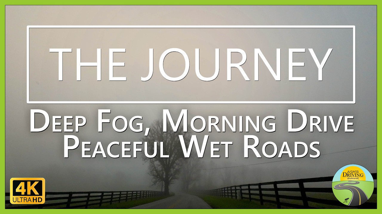 Deep Fog, Morning Drive | Peaceful Wet Roads on The Journey November 20, 2024