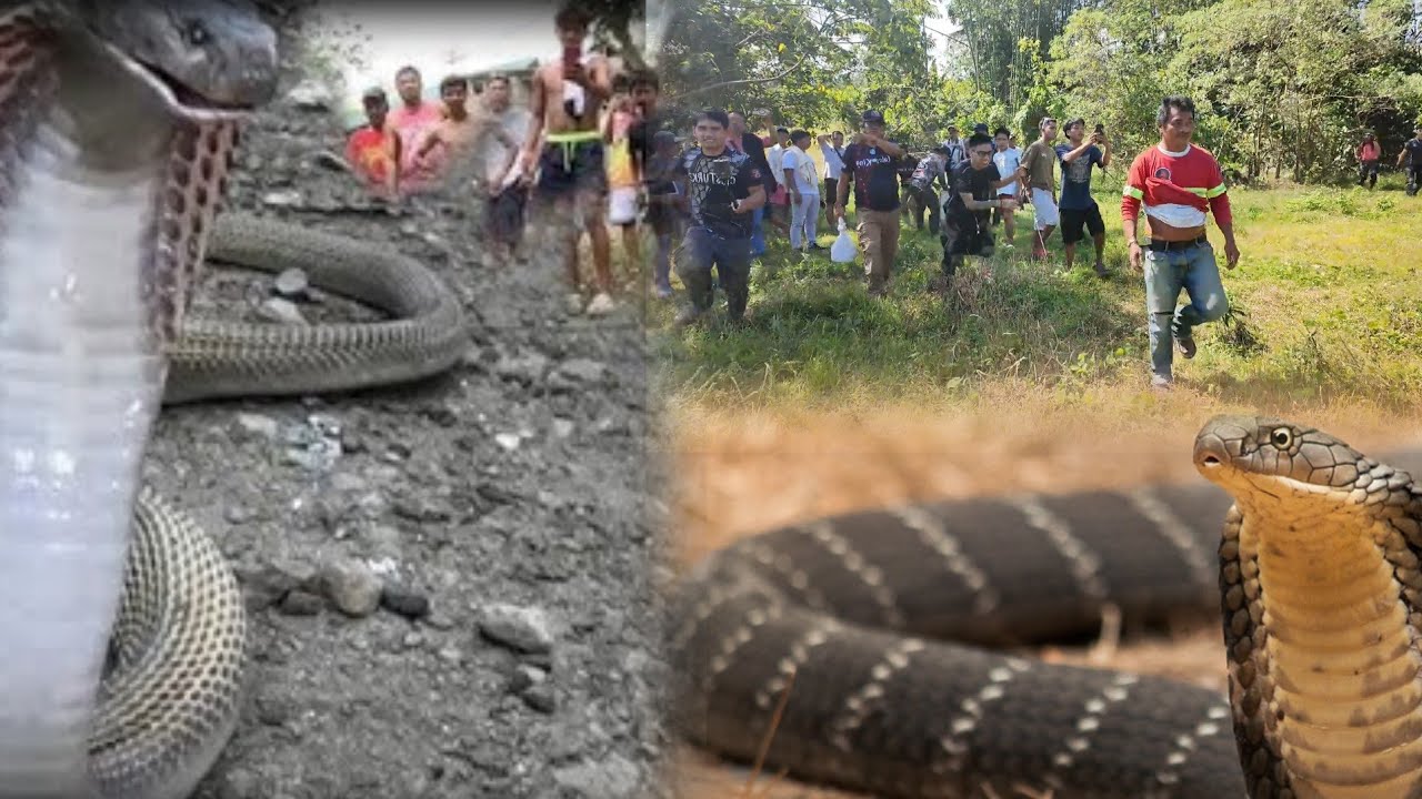 HINANAP NG BUONG TEAM ANG BANAKON NA KUMAGAT SA LALAKI