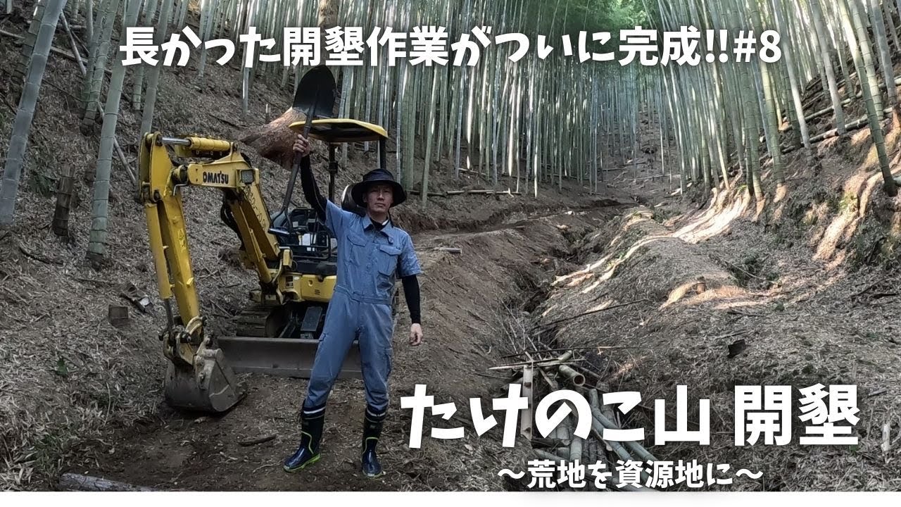 竹林を開墾していきます#8