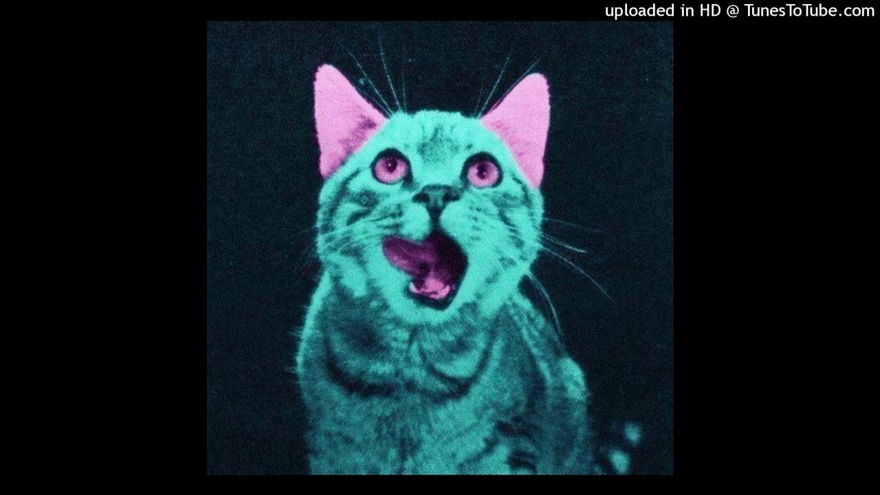 SONOFTHOU 125 (rainforest)