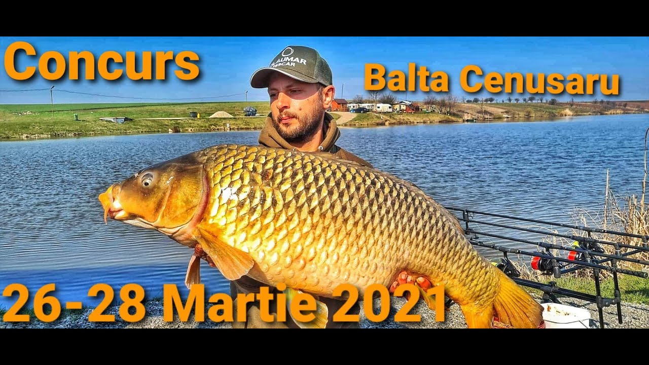 262 Kg de crap prins in concurs/Balta Cenusaru 26-28 martie 2021/Cea mai mare captura pe sector👀💪❤️🐟