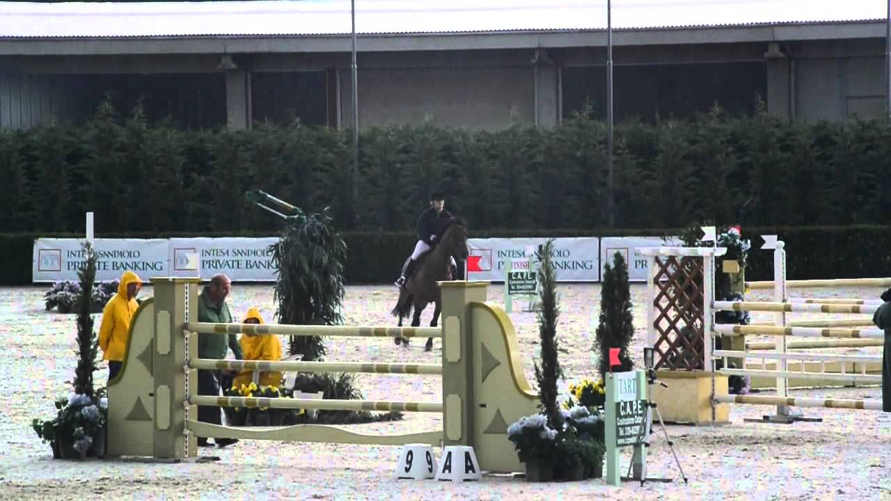 Ursin C135 @Equieffe Gorla Minore