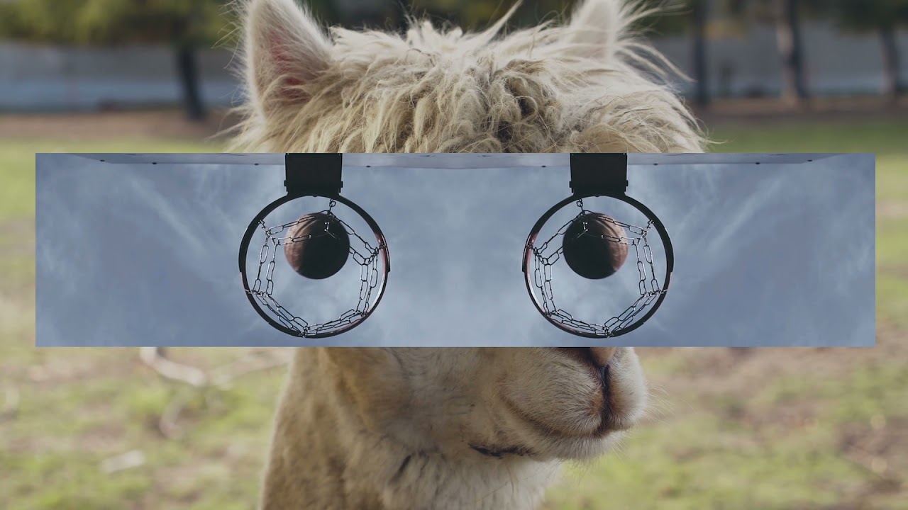 Nother - Dance Like An Animal feat. Grecale (Official Music Video)