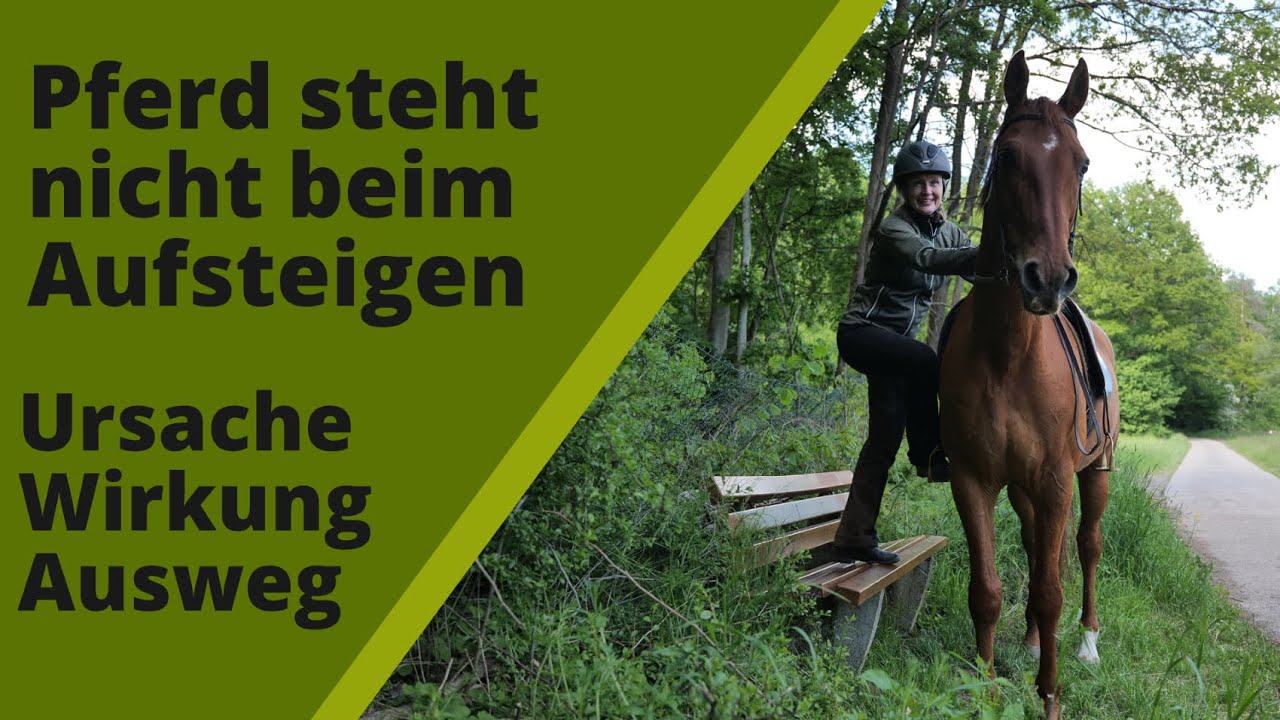 Dein Pferd bleibt beim Aufsteigen nicht stehen I Angst am und auf dem Pferd