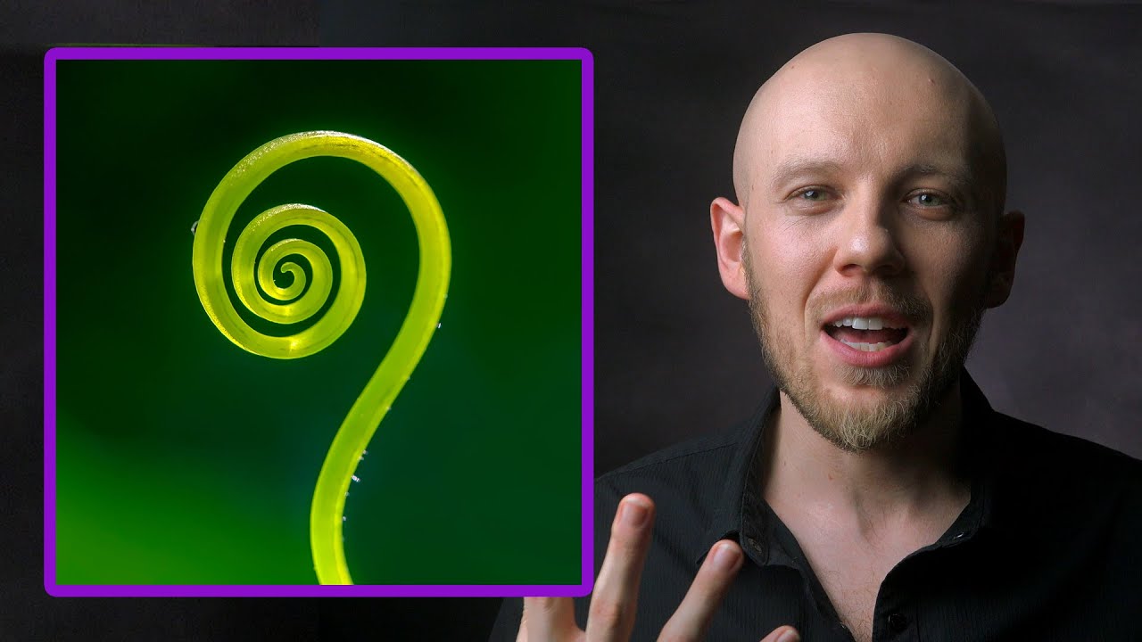 Survival & Spiral Dynamics - How Each Stage Survives