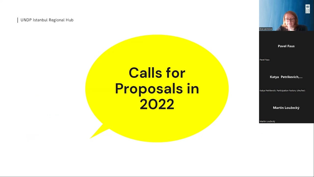 Funding Opportunities - International Visegrad Fund and UNDP Istanbul Hub