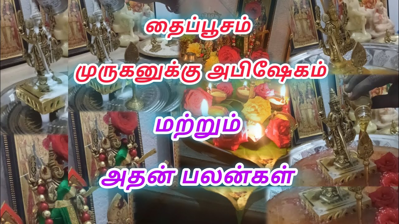 தைப்பூசம் முருகனுக்கு அபிஷேகம் நல்லபடியா முடிந்தது#ஓம் முருகா🙏#trending#minivlog#poojaivedio