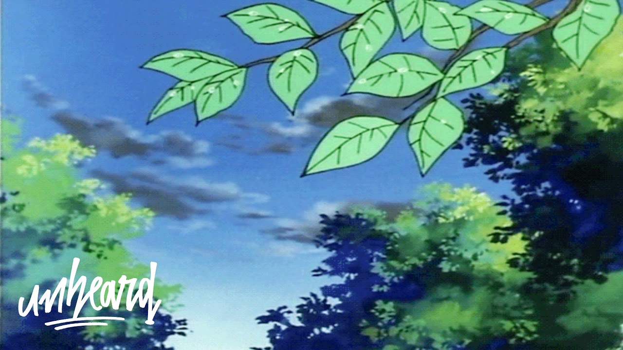 6 dogs - plant life
