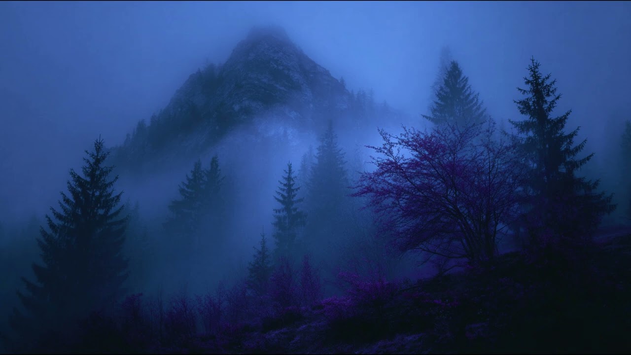 Ambient Music for an Overstimulated Mind