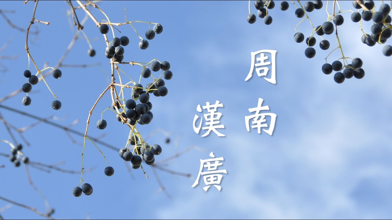 周南。漢廣