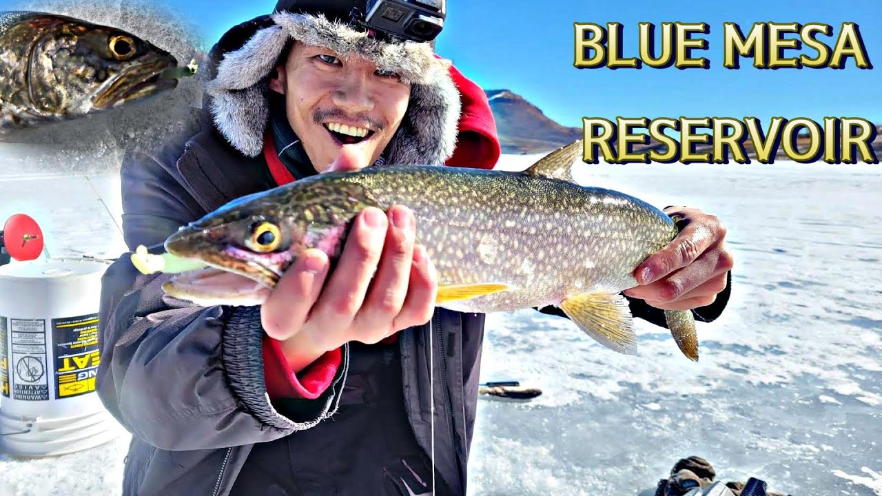 ICE FISHING LAKE TROUT at Blue Mesa Reservoir